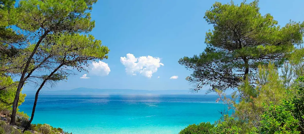 Ακτή Ελιάς